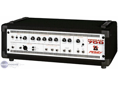 Peavey firebass 700
