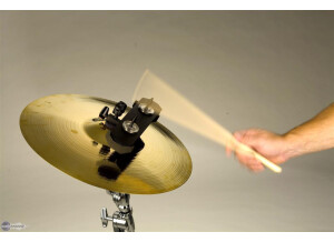 Pearl Anarchy Crasher Cymbal