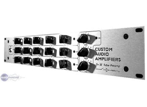 Custom Audio Electronics 3 + SE