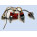 See the photo of the Glockenklang Onboard Preamp 2-band Glockenklang Onboard Preamp 2-band