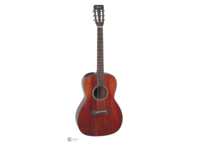 Takamine TF407
