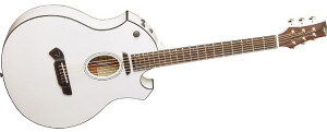 Parker Guitars P6E