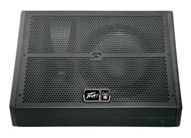 Peavey SP 12M