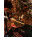 Voir la photo de la Ddrum 4SE Ddrum 4SE