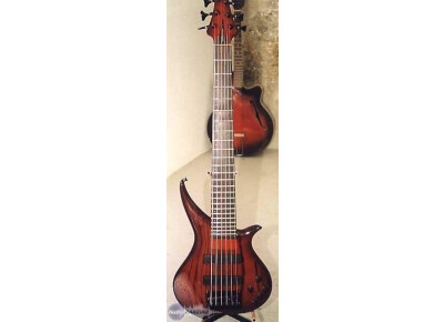 Tune Guitar Technology TWX6