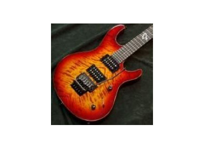 Ruokangas Guitars Hellcat