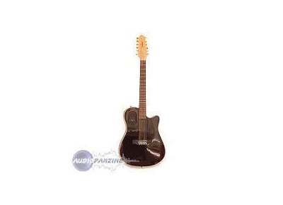 Godin Acousticaster 12