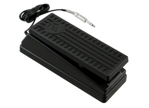 Moog Music EP-2