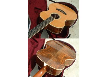 Taylor W-55 Custom Shop