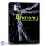 SONiVOX Announces "Anatomy"
