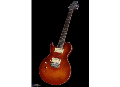 Aria Pro II PE-450 LH