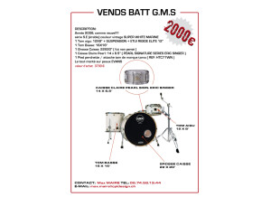 Gms série S.E (érable)