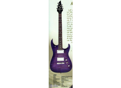 Jackson AT2T Archtop