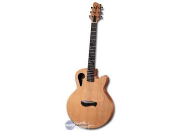 Tacoma Guitars Chief