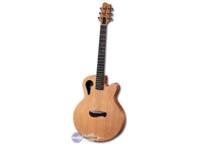 Tacoma Guitars Chief