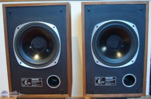 Tannoy chester T-165
