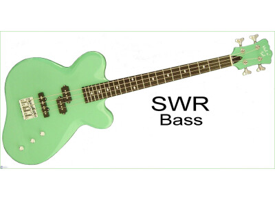 The Alternative Guitar And Amplifier Company SWR
