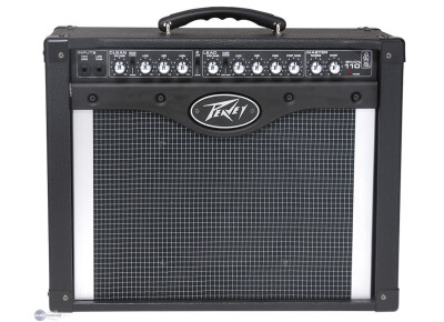 Peavey Envoy 110