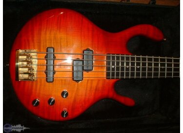 Pedulla MVP-5 Custom