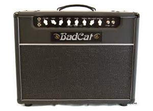 Bad Cat Hot Cat 15