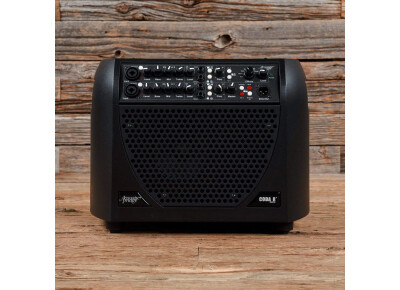 Acoustic Image Coda R Series III