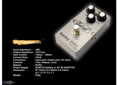 Belcat DLY-503 Analog Delay
