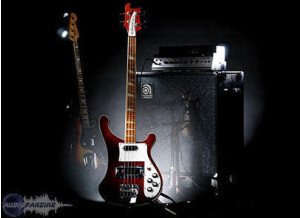 Reason Studios Reason Electric Bass ReFill