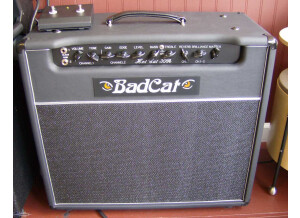 Bad Cat Hot Cat 30