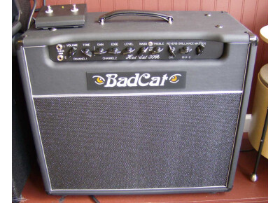Bad Cat Hot Cat 30