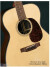 Martin & Co M-21 Steve Earle Custom