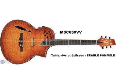 Ibanez MSC650