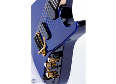 Moog Music Paul Vo Collector Edition Guitar