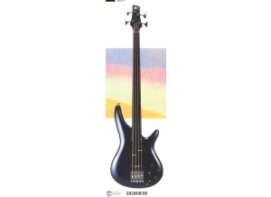 Ibanez SR2040E Fretless