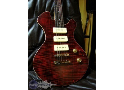 Taranaki Guitars P-Type