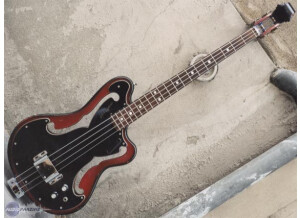 Ampeg AEB-1 "Scoll Bass"