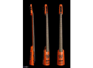 Ns Design Fretted Bass Cello