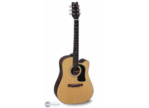 Washburn D10