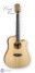 Luna Guitars présente l'Oracle Crane
