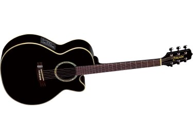 Takamine EG541SSC