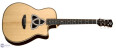 Luna Guitars Trinity
