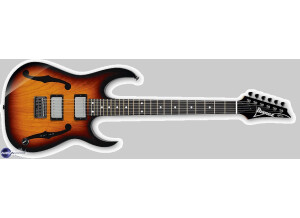 Ibanez PGM401 Paul Gilbert Signature
