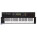 Yamaha YS200