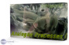 Infrasonic Analogue Processes v1