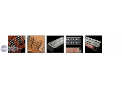 Nordstrand Audio Dual Coil Bass5