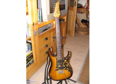 Ibanez RT450