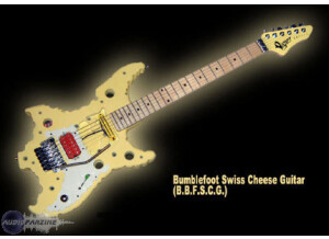 Vigier Swiss Cheese Guitar