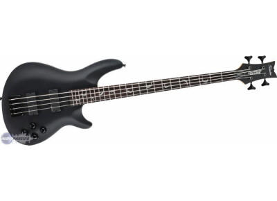 Schecter Damien-4