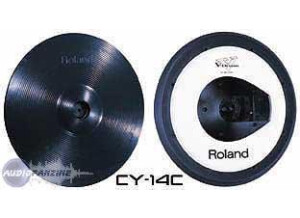 Roland CY-14C
