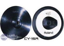 Roland CY-15R