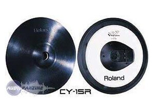 Roland CY-15R